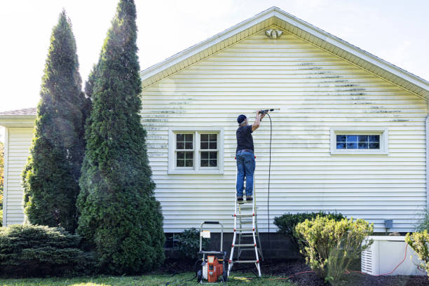 Best Best Pressure Washing Companies  in Pleasanton, TX