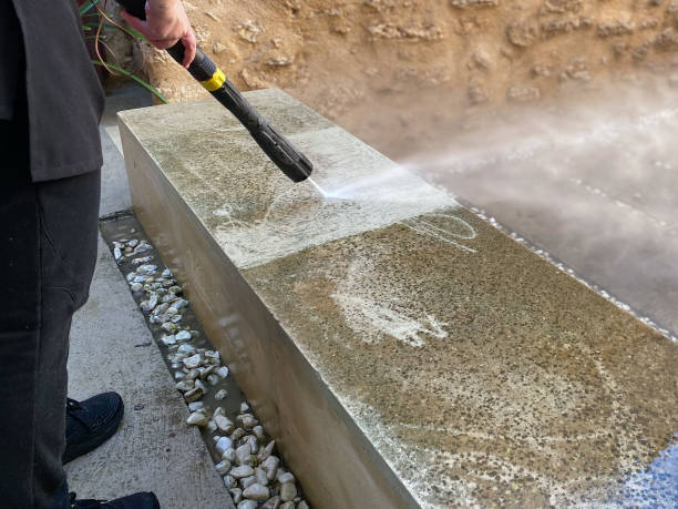 Best Roof Pressure Washing  in Pleasanton, TX