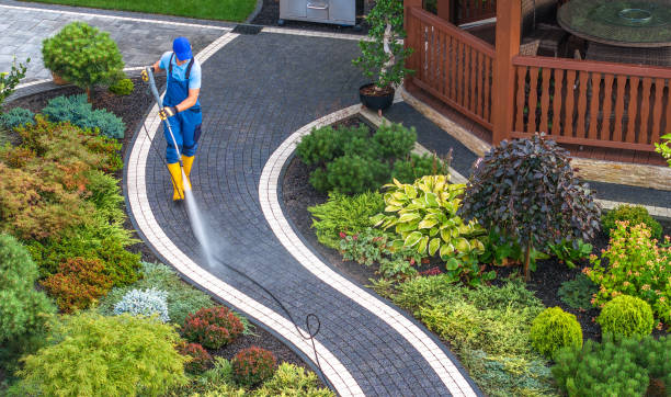 Best Pressure Washing Services Near Me  in Pleasanton, TX
