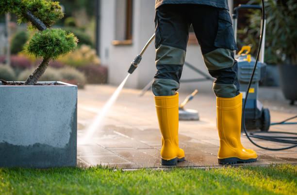 Best Roof Power Washing Services  in Pleasanton, TX